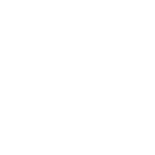 Steering Wheel Chery Lepas L8